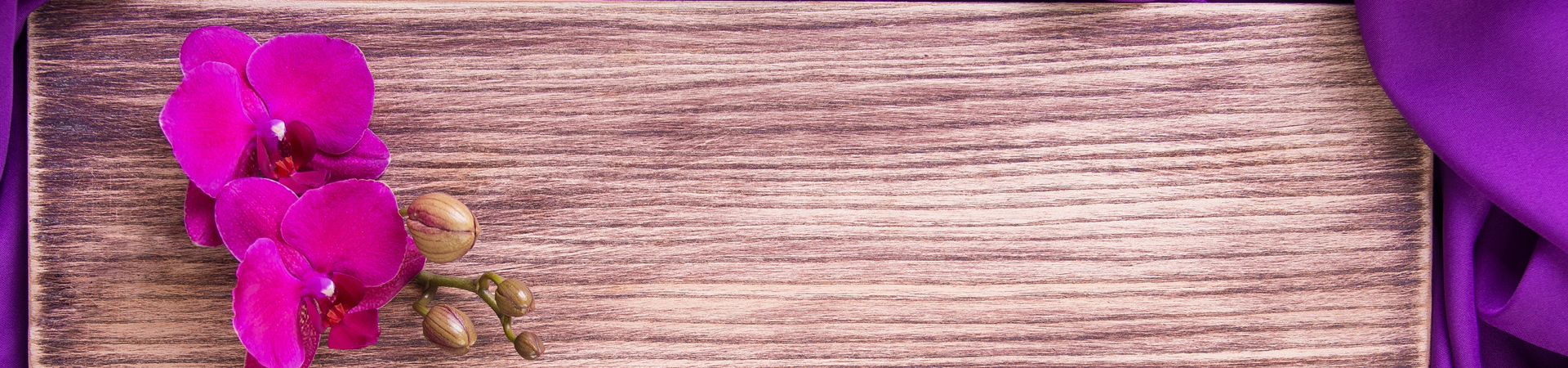 banner-of-purple-orchid-on-wooden-background-73AASQB